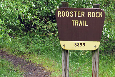 rooster rock trail sign graphic
